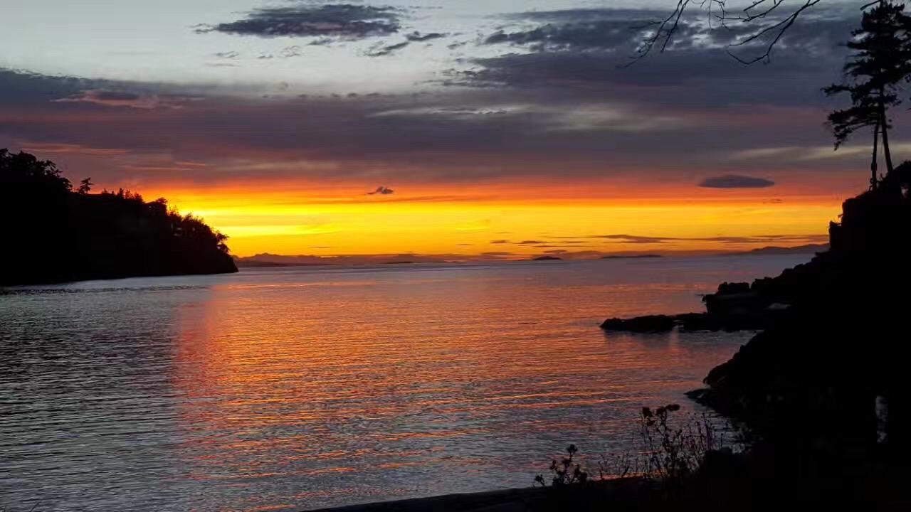 Gulfview Drive Ocean View B&B Ναναΐμο Εξωτερικό φωτογραφία
